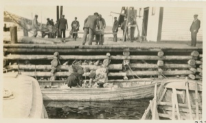 Image: Unloading codfish from boats